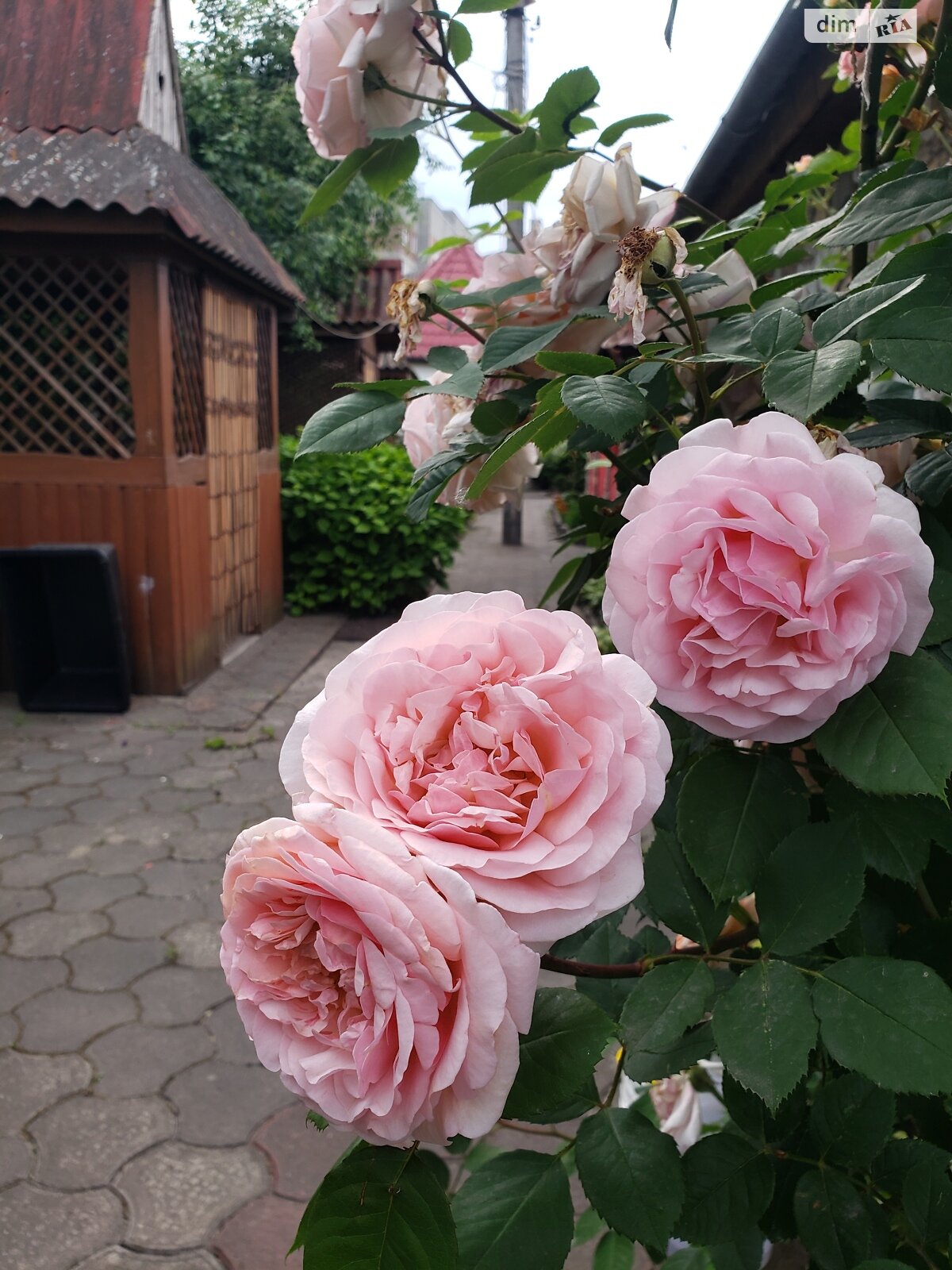 Спеціальне приміщення в Бурштині, продаж по Cтепана Бандери, район Старий Бурштин, ціна: 145 000 доларів за об’єкт фото 1 Спеціальне приміщення в Бурштині, продаж по Cтепана Бандери, район Старий Бурштин, ціна: 145 000 доларів за об’єкт фото 1