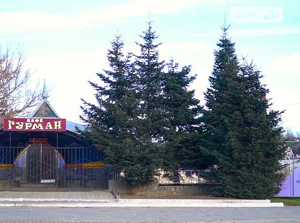 Бар, кафе, ресторан в НоваяОдессе, продажа по Ленина, район Новая Одесса, цена: 32 000 долларов за объект фото 1 Бар, кафе, ресторан в НоваяОдессе, продажа по Ленина, район Новая Одесса, цена: 32 000 долларов за объект фото 1