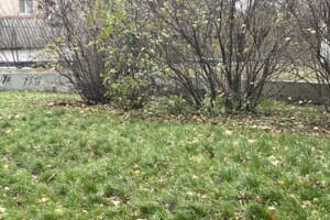 Комерційне приміщення в Черкасах, продаж по Чехова вулиця 125, район Придніпровський, ціна: 60 000 доларів за об’єкт фото 2