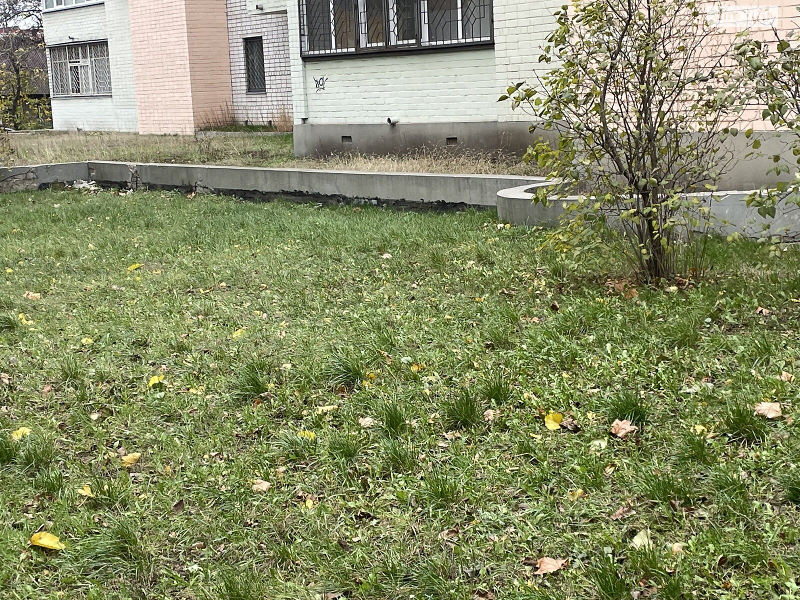 Комерційне приміщення в Черкасах, продаж по Чехова вулиця 125, район Придніпровський, ціна: 60 000 доларів за об’єкт фото 1