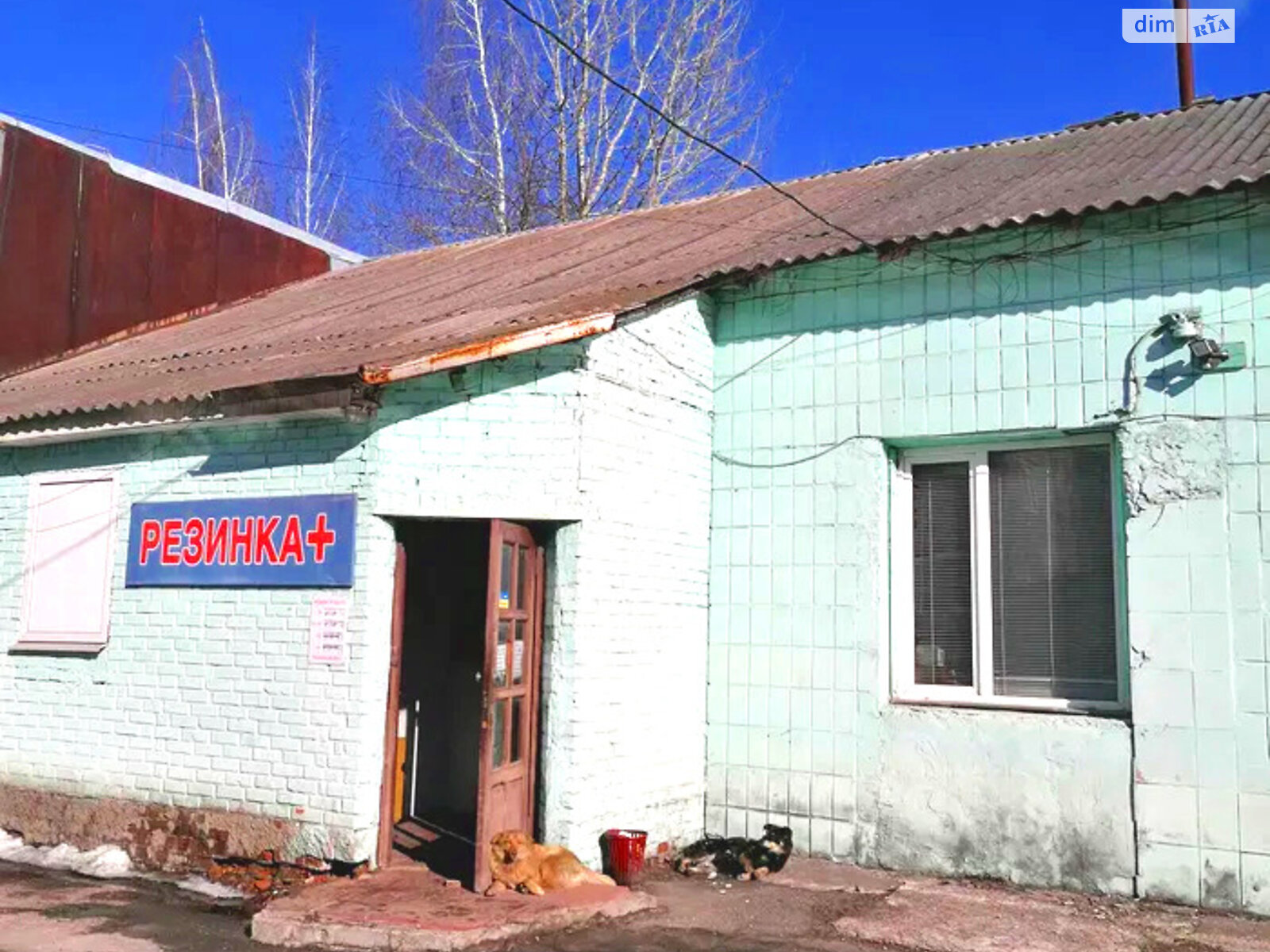 Коммерческое помещение в Чернигове, продажа по Мира проспект 243, район ЗАЗ, цена: 120 000 долларов за объект фото 1