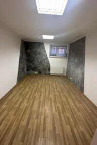 Комерційне приміщення в Чернівцях, продаж по Філармонії площа, район Центр, ціна: 48 000 доларів за об’єкт фото 2