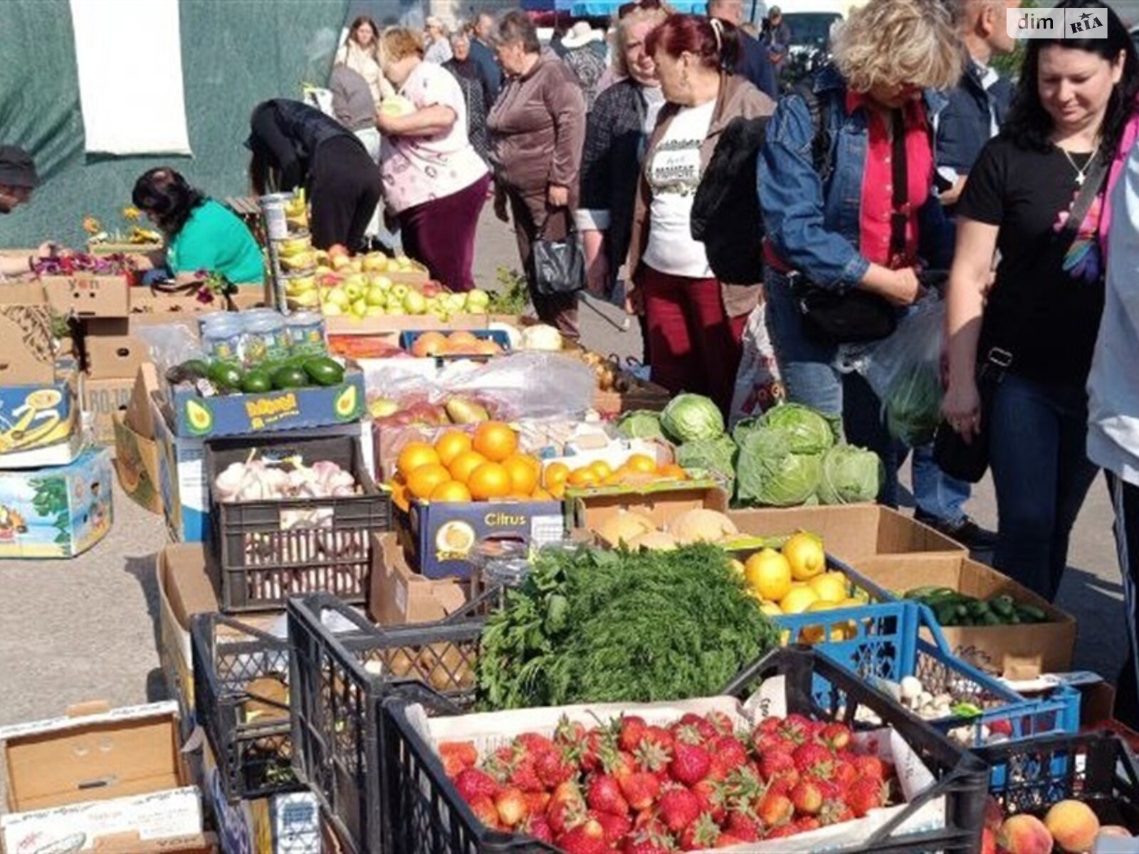 Коммерческое помещение в Демидовке, Шевченка улица, цена: продажи 150 000 долларов за объект фото 1 Коммерческое помещение в Демидовке, Шевченка улица, цена продажи: 150 000 долларов за объект фото 1