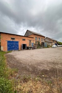 Комерційне приміщення в Диканьці, продаж по Степана Бандери (Мічуріна) вулиця, район Диканька, ціна: 120 000 доларів за об’єкт фото 2