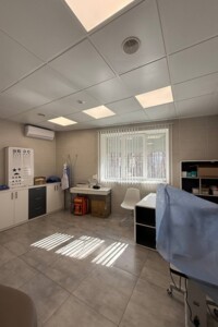 Коммерческое помещение в Днепре, продажа по просп. Яворницкого Дмитрия, район Парк Л.Глобы, цена: 325 000 долларов за объект фото 2 Коммерческое помещение в Днепре, продажа по просп. Яворницкого Дмитрия, район Парк Л.Глобы, цена: 325 000 долларов за объект фото 2