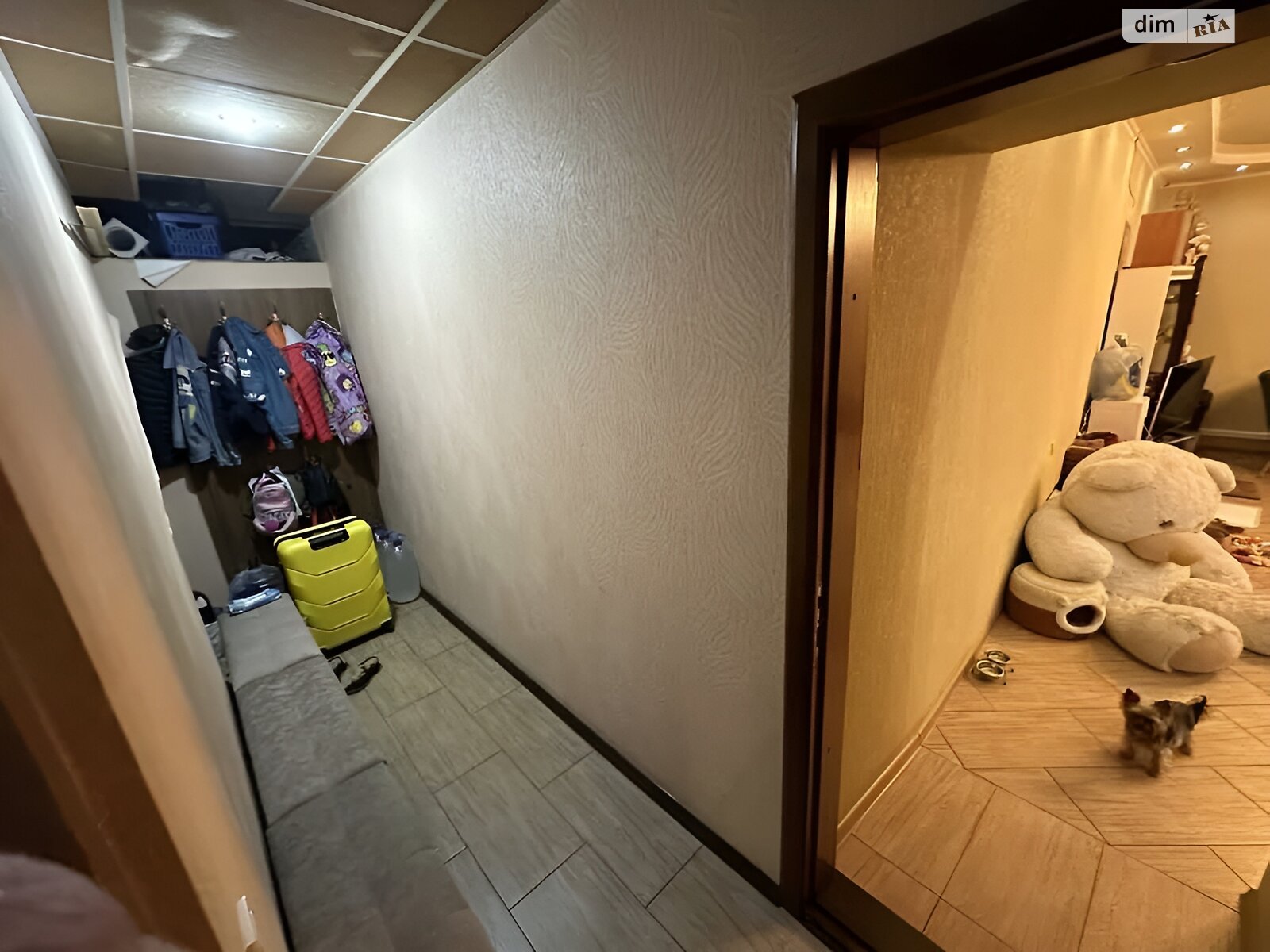 Коммерческое помещение в Днепре, продажа по Соборная площадь 1, район Парк Шевченко, цена: 140 000 долларов за объект фото 1 Коммерческое помещение в Днепре, продажа по Соборная площадь 1, район Парк Шевченко, цена: 140 000 долларов за объект фото 1