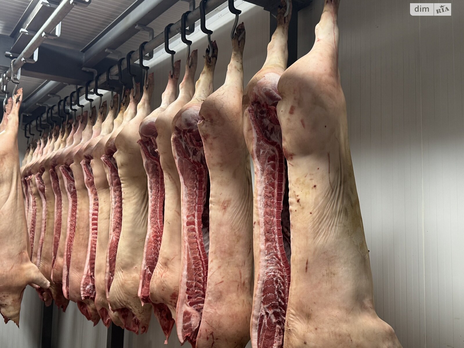 Комерційне приміщення в Дорожньому, продаж по Київська вулиця, ціна: 1 380 000 доларів за об’єкт фото 1 Комерційне приміщення в Дорожньому, продаж по Київська вулиця, ціна: 1 380 000 доларів за об’єкт фото 1