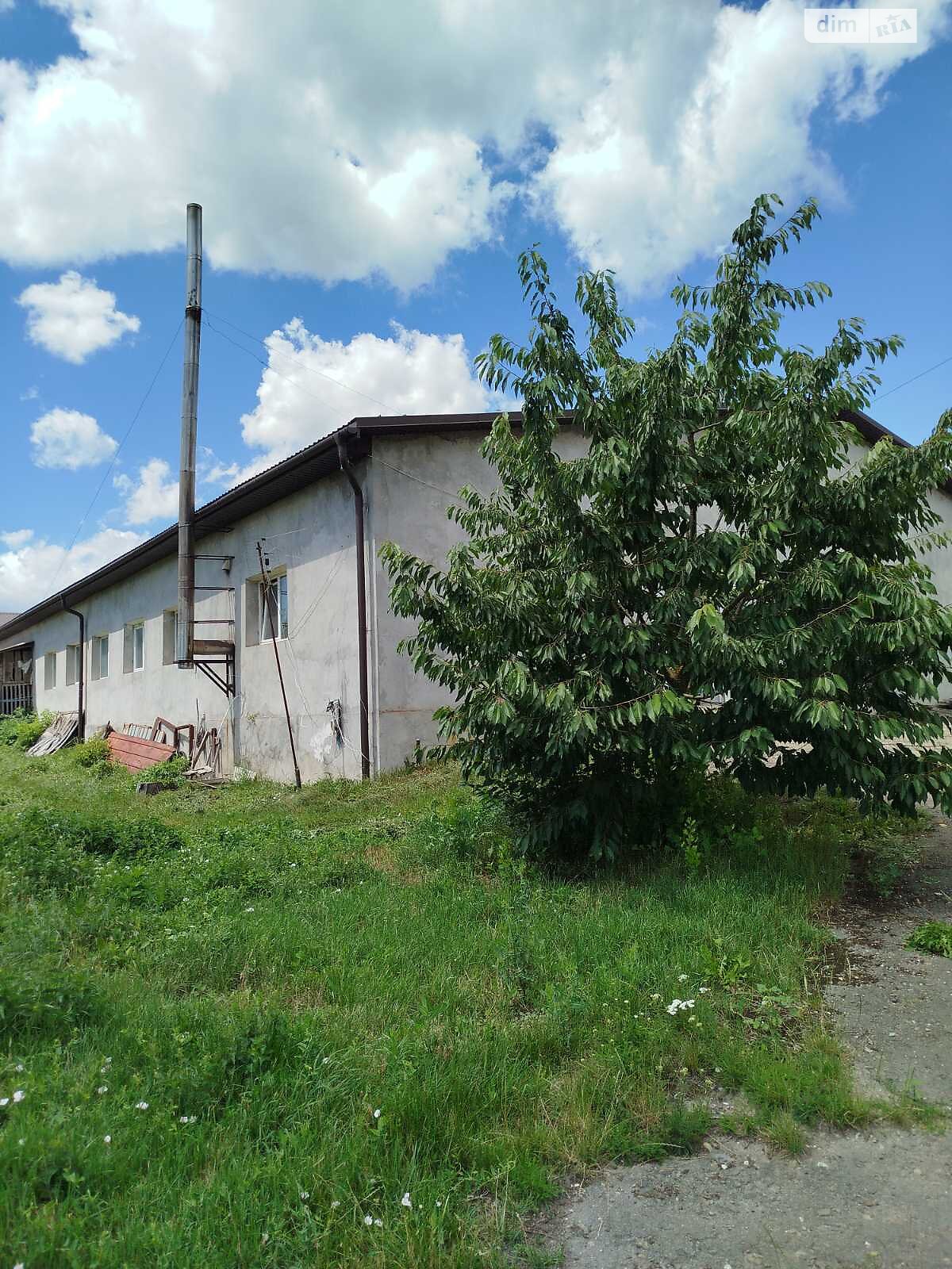Комерційне приміщення в Городищі, Тернопільська вулиця 2В, ціна продажу: 500 000 доларів за об’єкт фото 1 Комерційне приміщення в Городищі, Тернопільська вулиця 2В, ціна продажу: 500 000 доларів за об’єкт фото 1