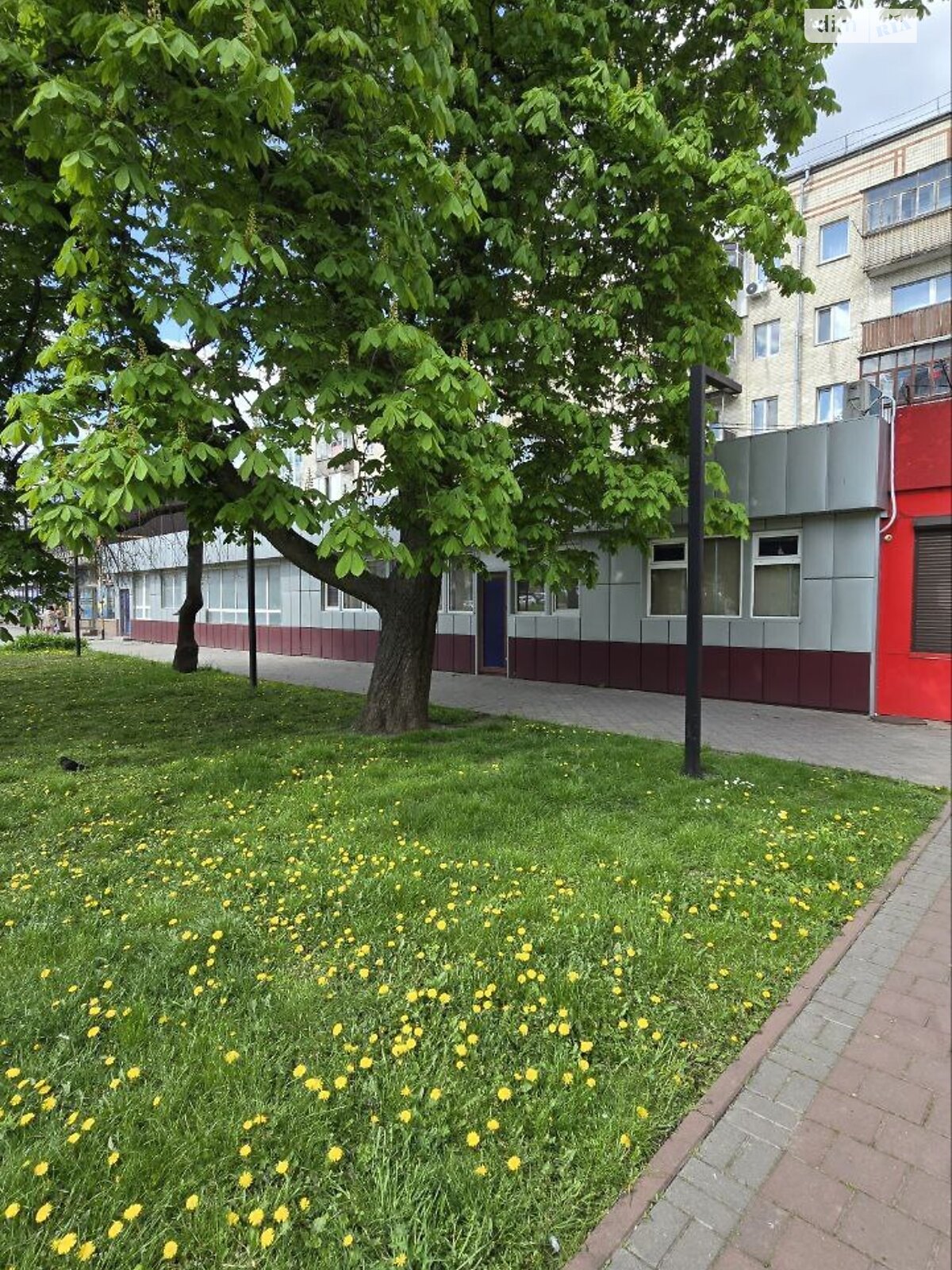 Коммерческое помещение в Хмельницком, продажа по Проскуровская улица 107, район Центр, цена: 51 180 долларов за объект фото 1 Коммерческое помещение в Хмельницком, продажа по Проскуровская улица 107, район Центр, цена: 51 180 долларов за объект фото 1