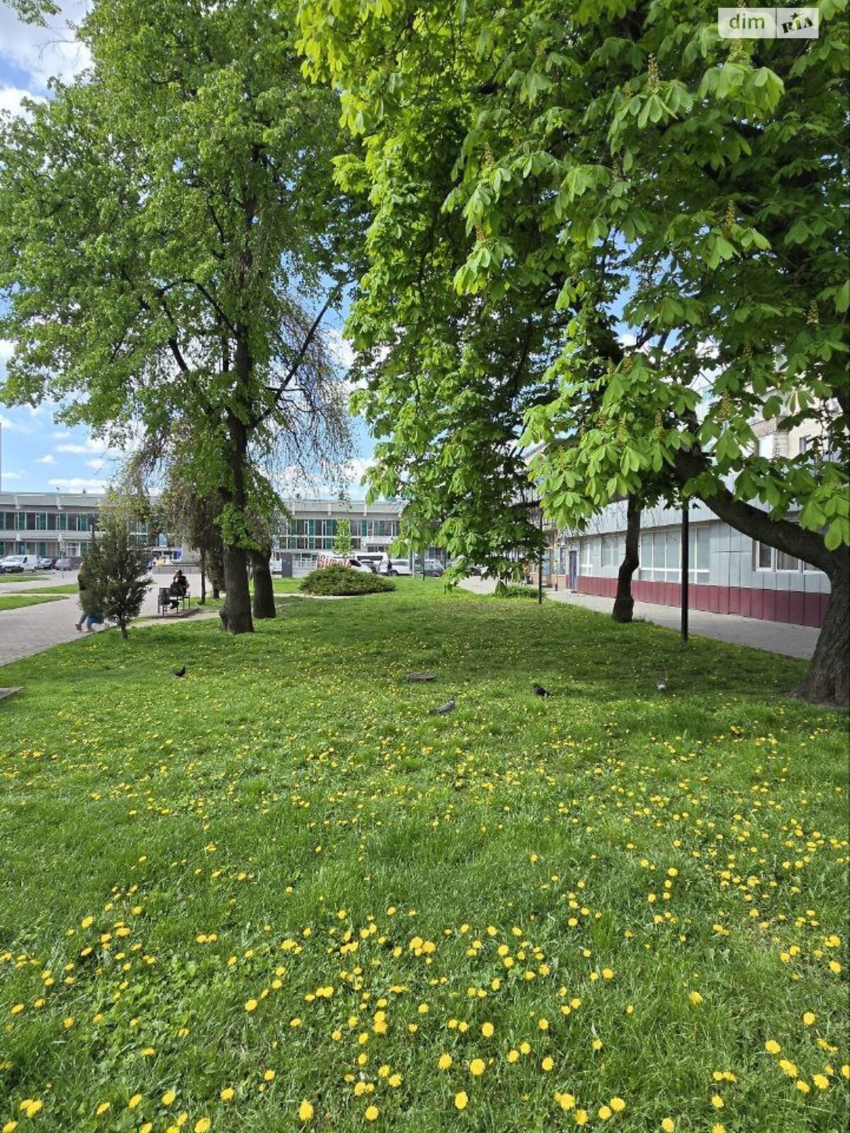Коммерческое помещение в Хмельницком, продажа по Проскуровская улица 107, район Центр, цена: 51 180 долларов за объект фото 1 Коммерческое помещение в Хмельницком, продажа по Проскуровская улица 107, район Центр, цена: 51 180 долларов за объект фото 1