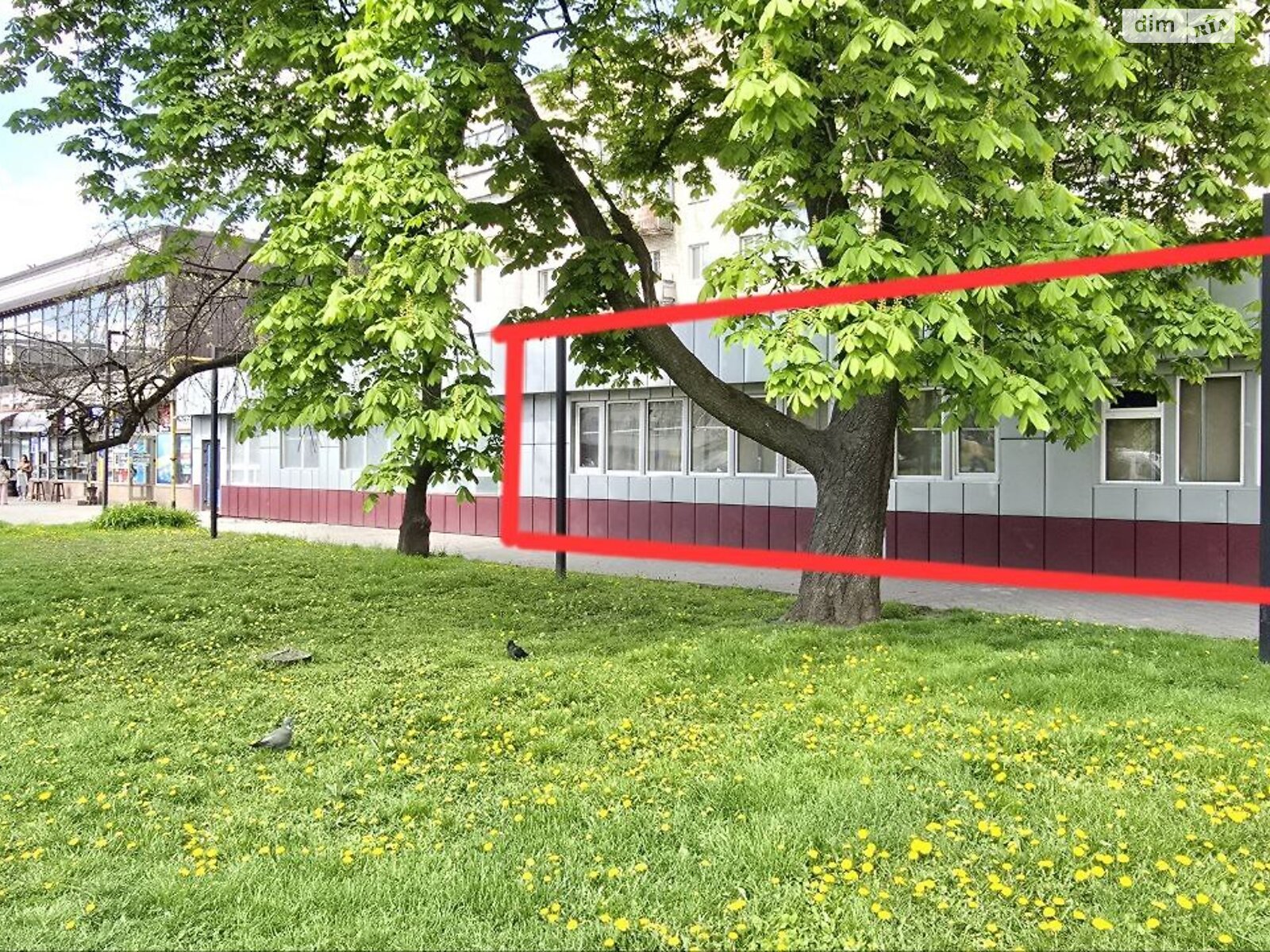 Коммерческое помещение в Хмельницком, продажа по Проскуровская улица 107, район Центр, цена: 51 180 долларов за объект фото 1 Коммерческое помещение в Хмельницком, продажа по Проскуровская улица 107, район Центр, цена: 51 180 долларов за объект фото 1