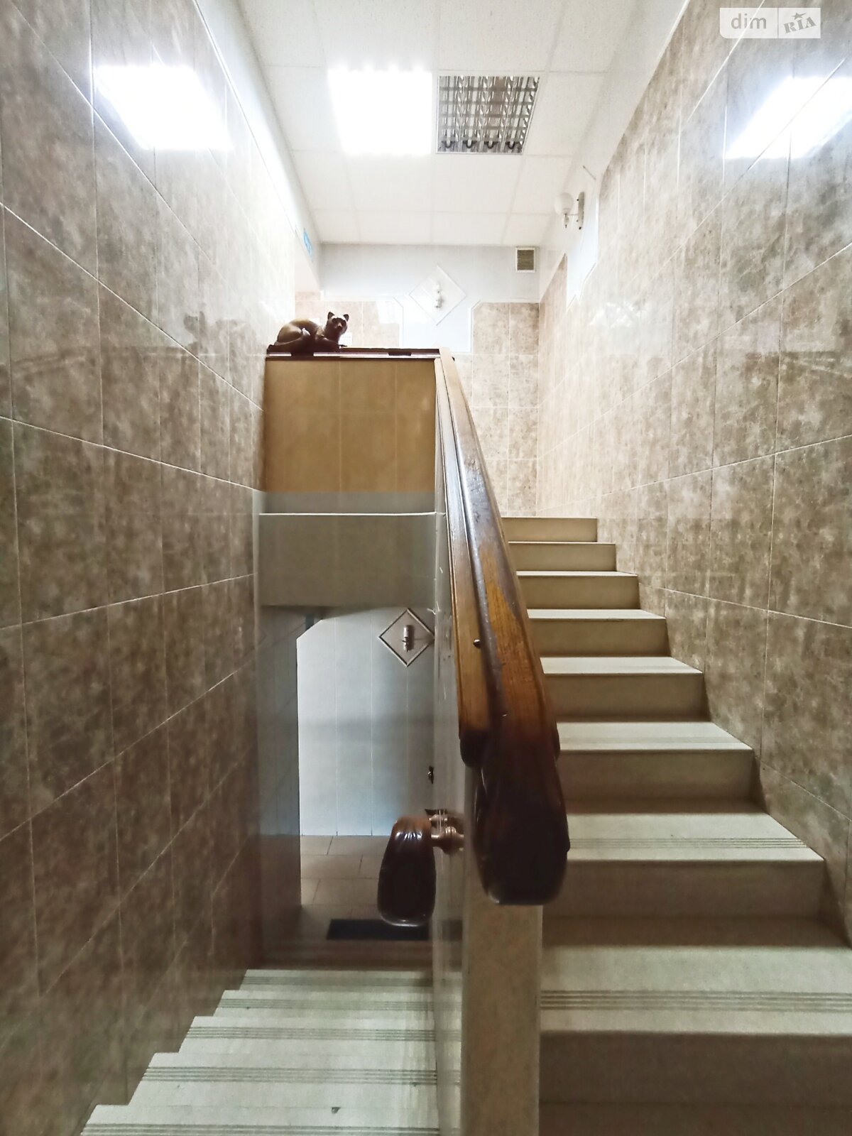 Коммерческое помещение в Хмельницком, продажа по Свободы улица 19, район Центр, цена: 383 000 долларов за объект фото 1 Коммерческое помещение в Хмельницком, продажа по Свободы улица 19, район Центр, цена: 383 000 долларов за объект фото 1