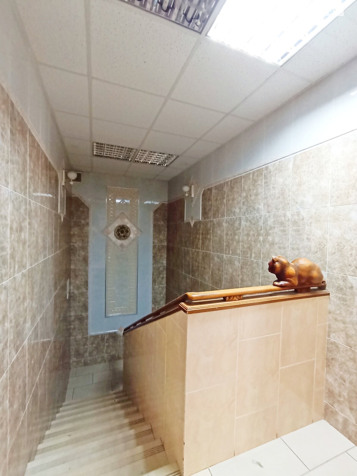 Коммерческое помещение в Хмельницком, продажа по Свободы улица 19, район Центр, цена: 383 000 долларов за объект фото 1 Коммерческое помещение в Хмельницком, продажа по Свободы улица 19, район Центр, цена: 383 000 долларов за объект фото 1