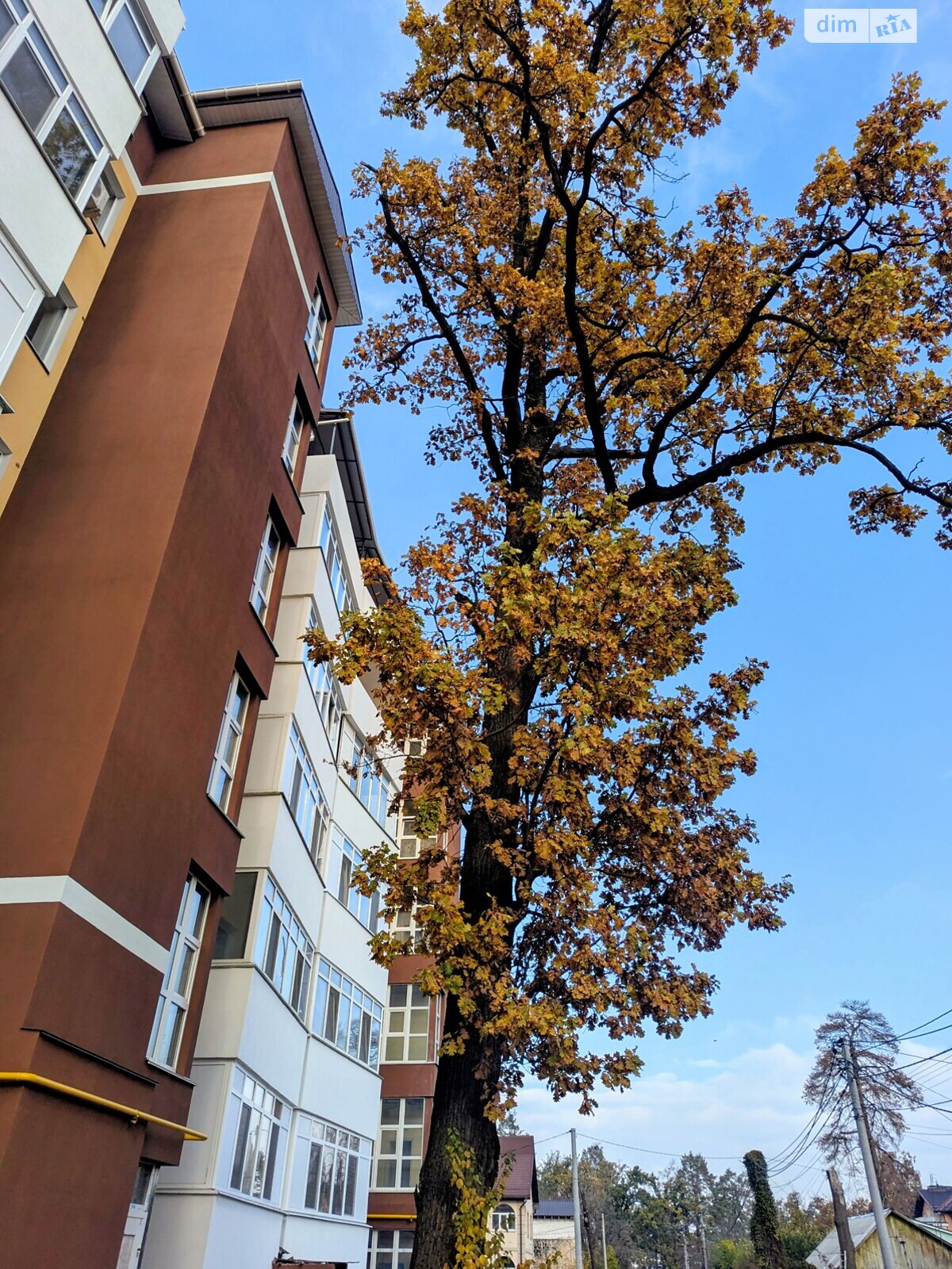 Коммерческое помещение в Ирпене, продажа по Лысенка улица 13, район Ирпень, цена: 22 000 долларов за объект фото 1 Коммерческое помещение в Ирпене, продажа по Лысенка улица 13, район Ирпень, цена: 22 000 долларов за объект фото 1