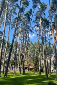 Коммерческое помещение в Ирпене, продажа по Университетская (Карла Маркса) улица 3/1, район Ирпень, цена: 160 000 долларов за объект фото 2