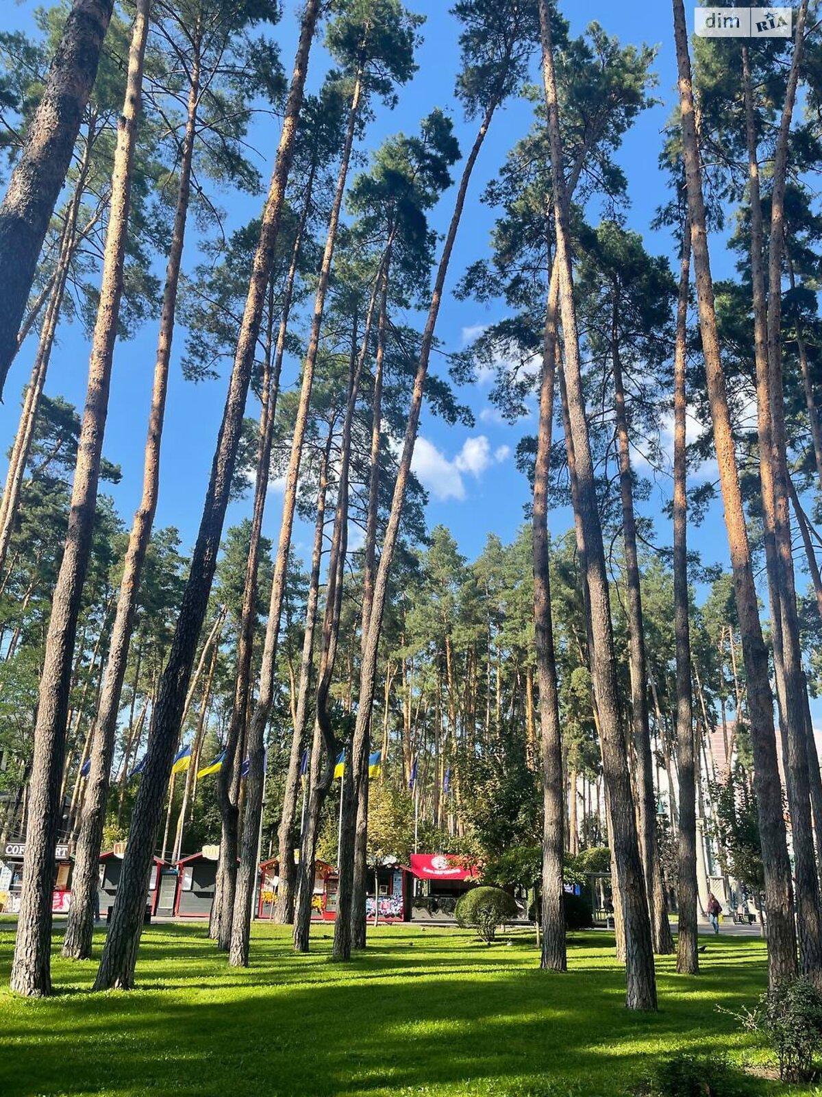 Коммерческое помещение в Ирпене, продажа по Университетская (Карла Маркса) улица 3/1, район Ирпень, цена: 160 000 долларов за объект фото 1