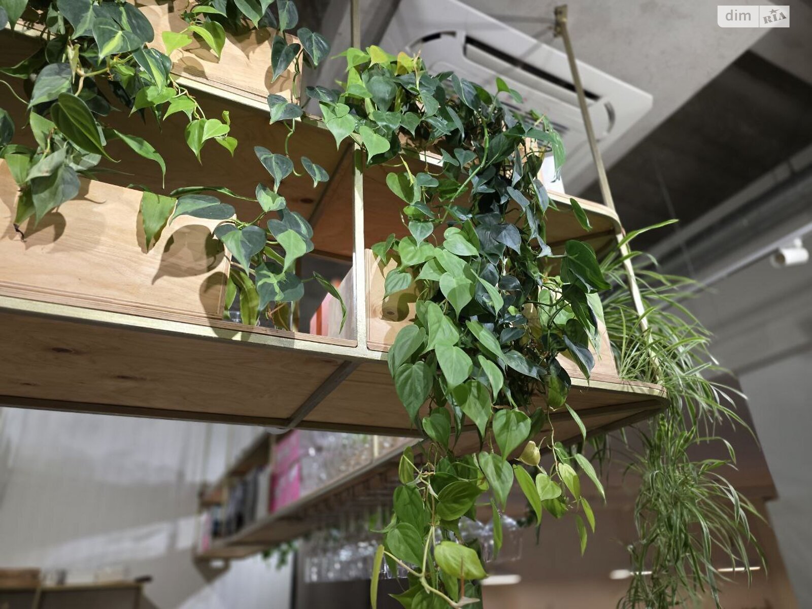 Коммерческое помещение в Ивано-Франковске, продажа по Слободская улица 32, район Бам, цена: 59 500 долларов за объект фото 1 Коммерческое помещение в Ивано-Франковске, продажа по Слободская улица 32, район Бам, цена: 59 500 долларов за объект фото 1