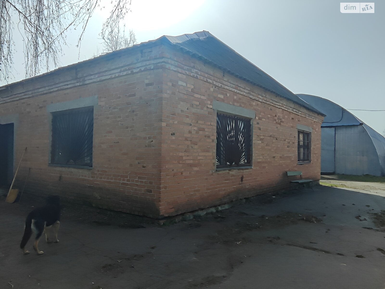 Комерційне приміщення в Житомирі, продаж по Миру проспект, район Богунський, ціна: 95 000 доларів за об’єкт фото 1 Комерційне приміщення в Житомирі, продаж по Миру проспект, район Богунський, ціна: 95 000 доларів за об’єкт фото 1