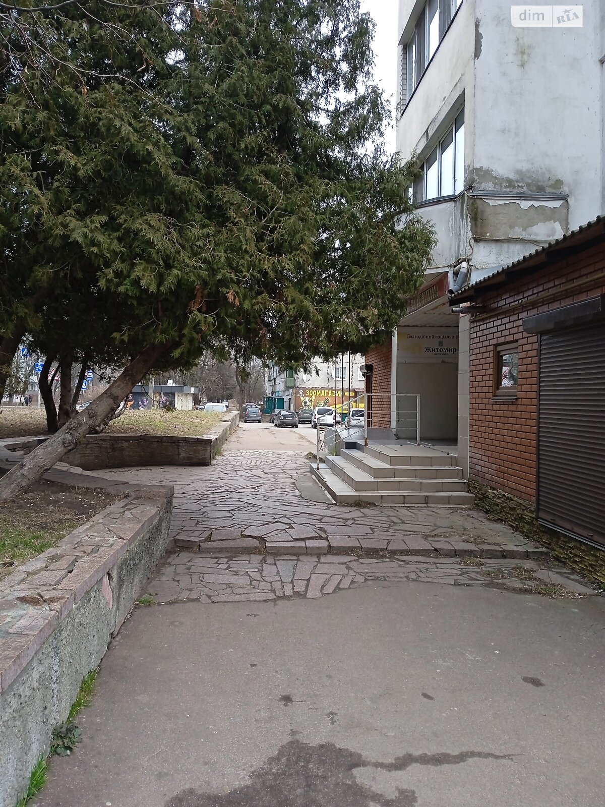 Коммерческое помещение в Житомире, продажа по Кибальчича улица, район Полевая, цена: 84 000 долларов за объект фото 1 Коммерческое помещение в Житомире, продажа по Кибальчича улица, район Полевая, цена: 84 000 долларов за объект фото 1