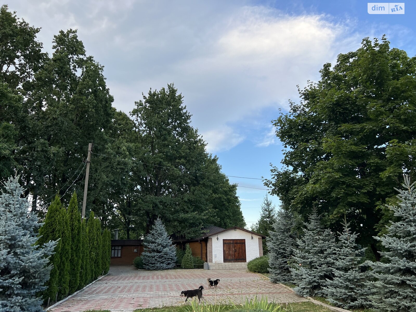 Коммерческое помещение в Жмеринке, продажа по Винницкий переулок, район Жмеринка, цена: 99 000 долларов за объект фото 1 Коммерческое помещение в Жмеринке, продажа по Винницкий переулок, район Жмеринка, цена: 99 000 долларов за объект фото 1
