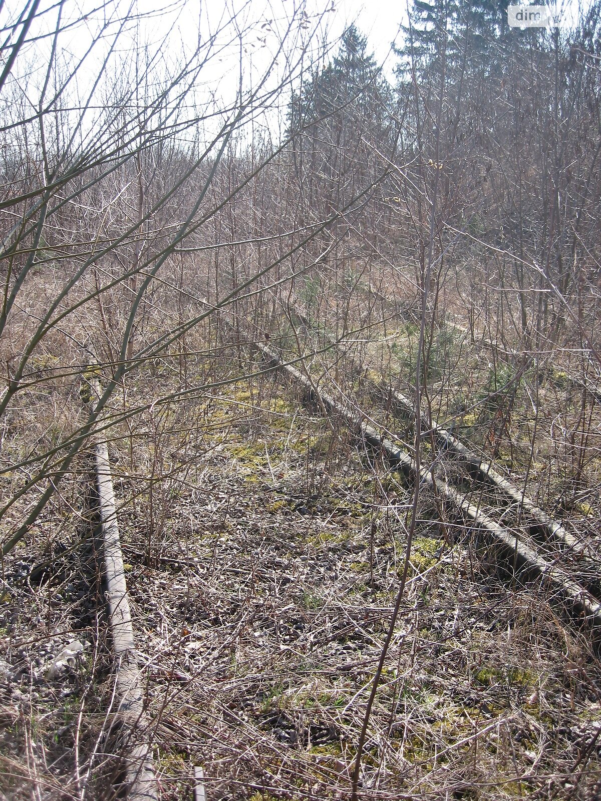 Комерційне приміщення в Жовкві, продаж по Л. Українки 77, район Жовква, ціна: 3 500 000 долларів за об’єкт фото 1