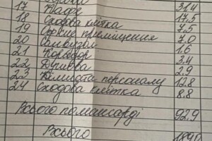 Комерційне приміщення в Жовкві, С. Петлюри вулиця, ціна продажу: 150 000 доларів за об’єкт фото 2