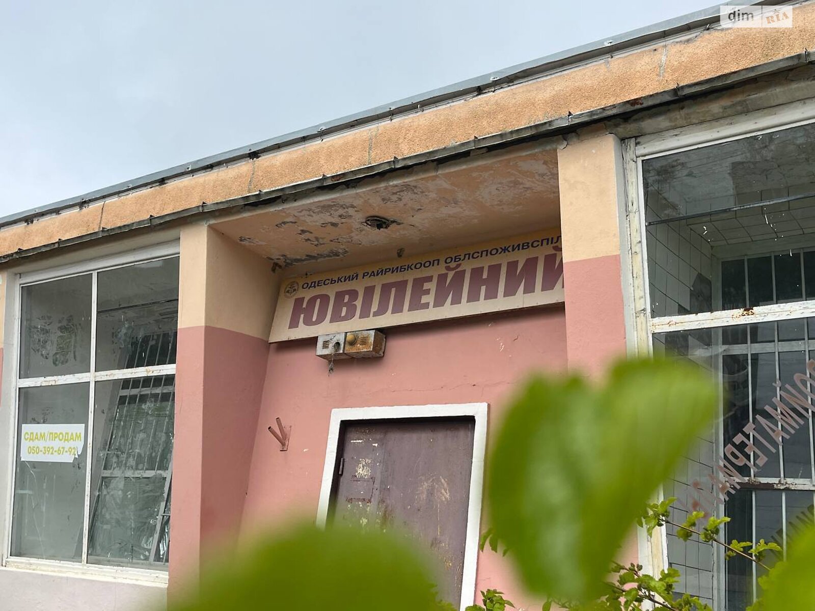 Коммерческое помещение в Калаглии, Школьная улица, цена: продажи 111 долларов за объект фото 1 Коммерческое помещение в Калаглии, Школьная улица, цена продажи: 111 долларов за объект фото 1