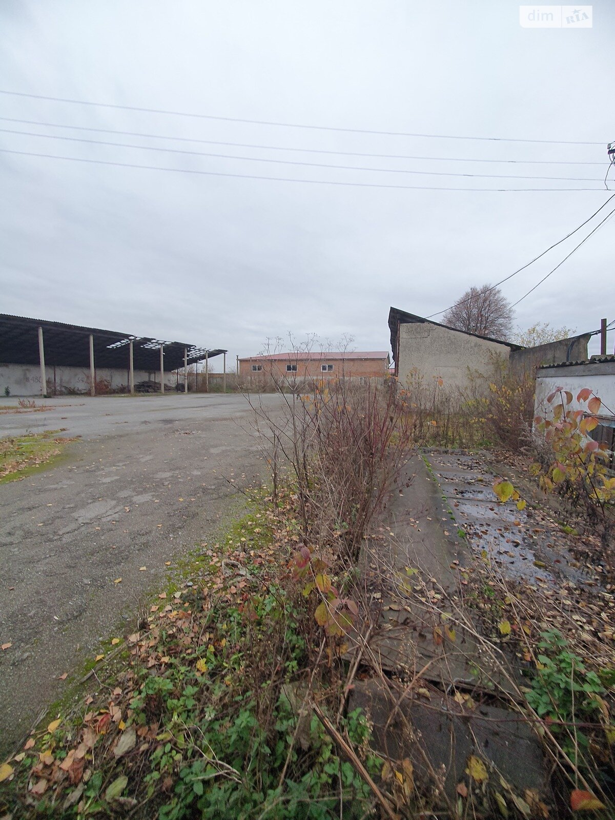 Коммерческое помещение в Калиновке, Перемоги 1А, цена продажи: 100 000 долларов за объект фото 1