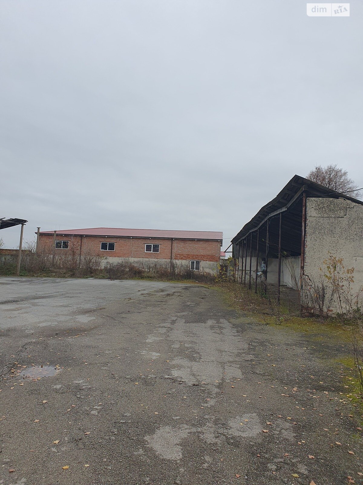 Коммерческое помещение в Калиновке, Перемоги 1А, цена продажи: 100 000 долларов за объект фото 1