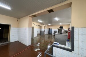 Комерційне приміщення в Кам’янському, Звенигородська (Бойка) вулиця, ціна продажу: 160 000 доларів за об’єкт фото 2