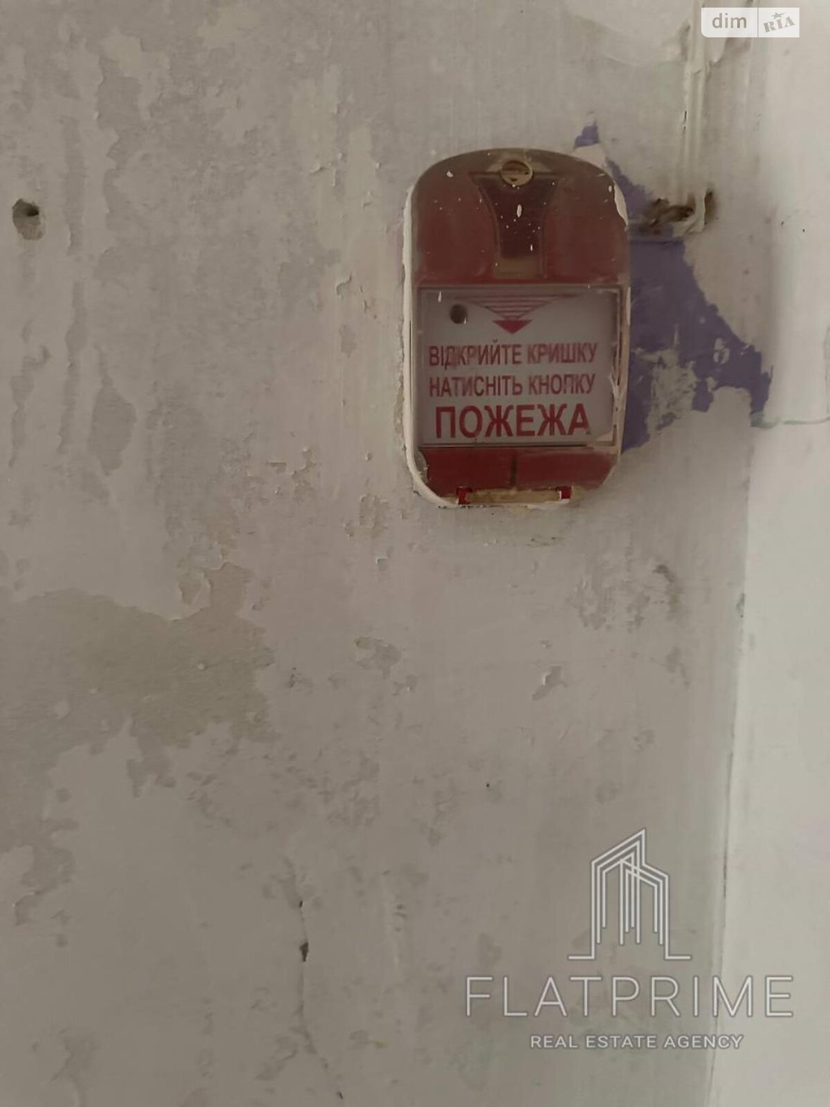 Комерційне приміщення в Києві, продаж по Радосинська (Леніна) вулиця 61, район Бортничі, ціна: 23 000 доларів за об’єкт фото 1 Комерційне приміщення в Києві, продаж по Радосинська (Леніна) вулиця 61, район Бортничі, ціна: 23 000 доларів за об’єкт фото 1