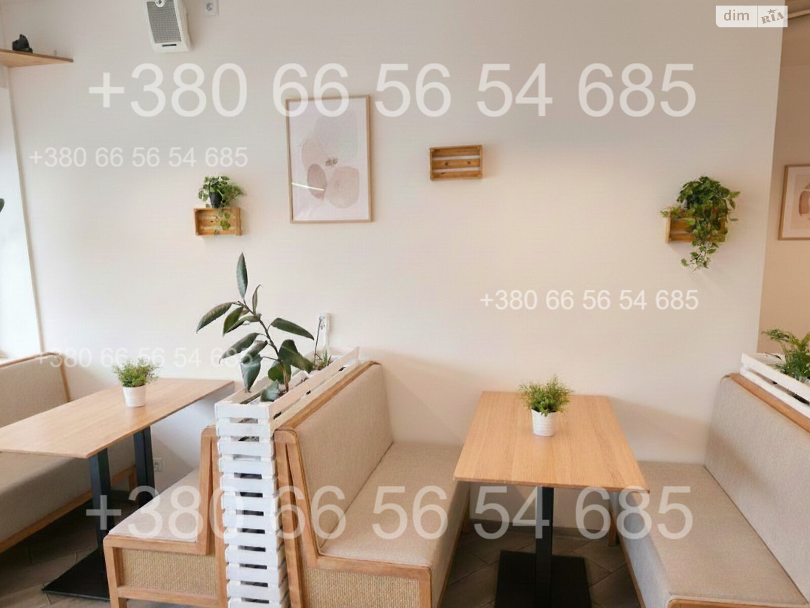 Коммерческое помещение в Киеве, продажа по Митрополита Андрея Шептицкого улица 3Г, район Левобережный Масив, цена: 20 999 долларов за объект фото 1 Коммерческое помещение в Киеве, продажа по Митрополита Андрея Шептицкого улица 3Г, район Левобережный Масив, цена: 20 999 долларов за объект фото 1