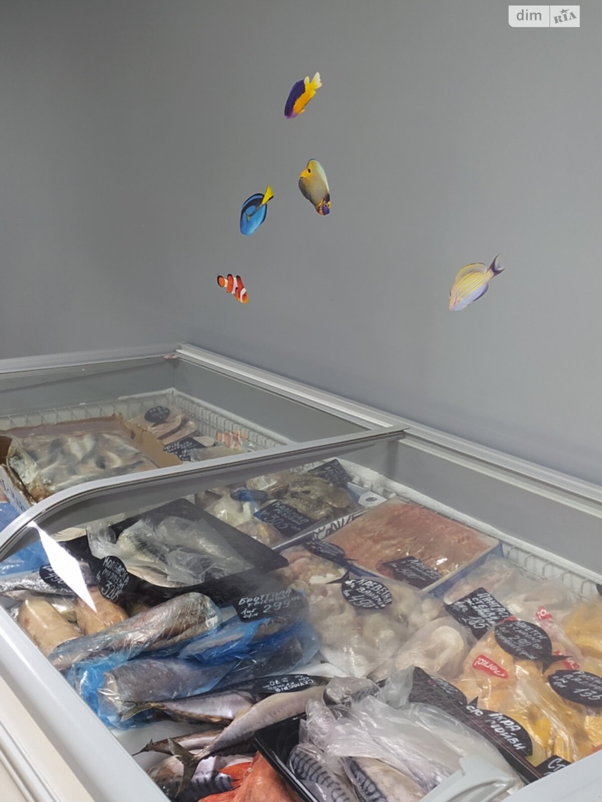 Комерційне приміщення в Києві, продаж по Юрія Кондратюка вулиця 5, ціна: 123 000 доларів за об’єкт фото 1 Комерційне приміщення в Києві, продаж по Юрія Кондратюка вулиця 5, ціна: 123 000 доларів за об’єкт фото 1