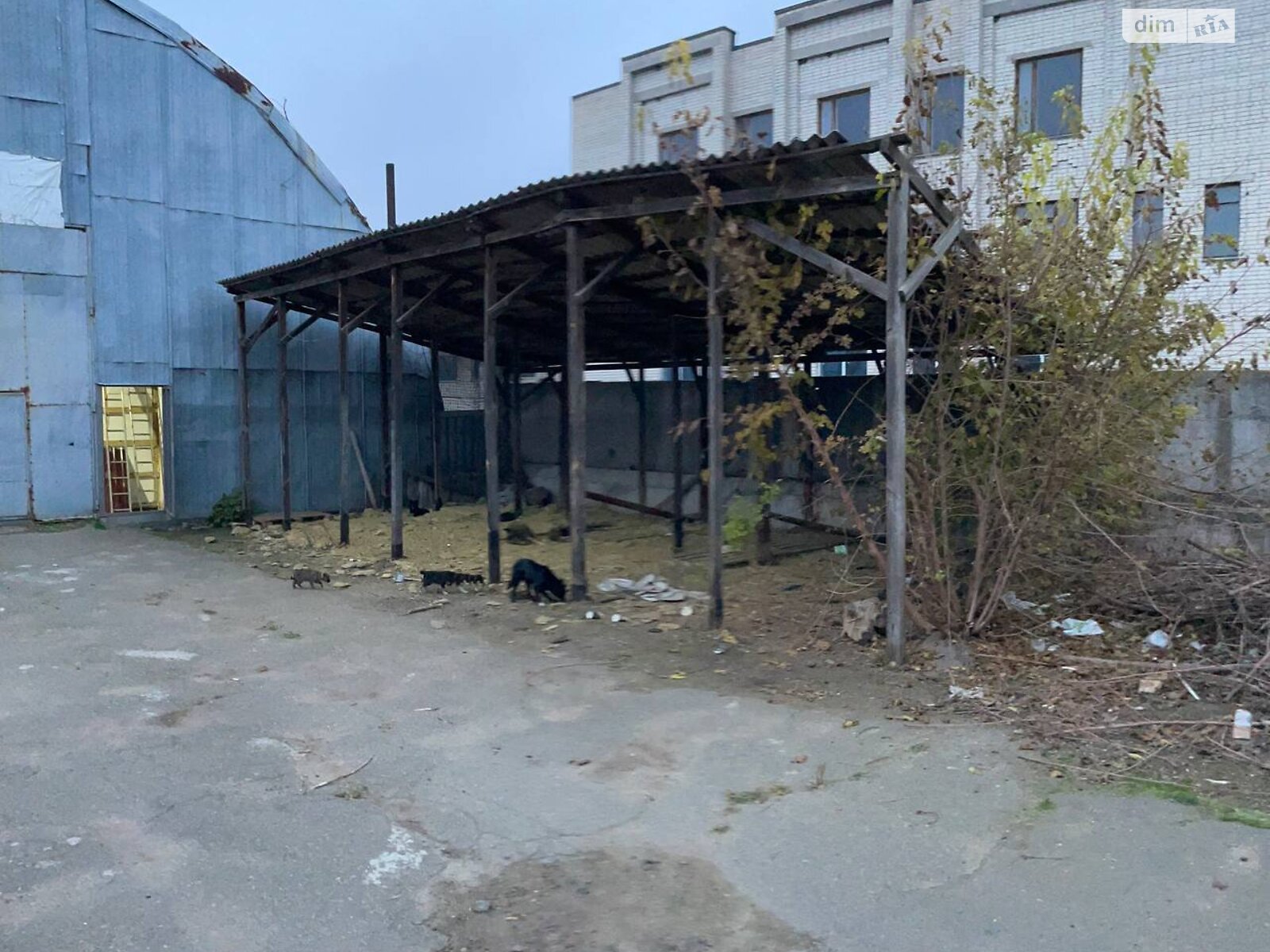 Комерційне приміщення в Корсуні-Шевченківському, продаж по Ярослава Мудрого (Леніна) вулиця 323, район Корсунь-Шевченківський, ціна: 55 000 доларів за об’єкт фото 1 Комерційне приміщення в Корсуні-Шевченківському, продаж по Ярослава Мудрого (Леніна) вулиця 323, район Корсунь-Шевченківський, ціна: 55 000 доларів за об’єкт фото 1