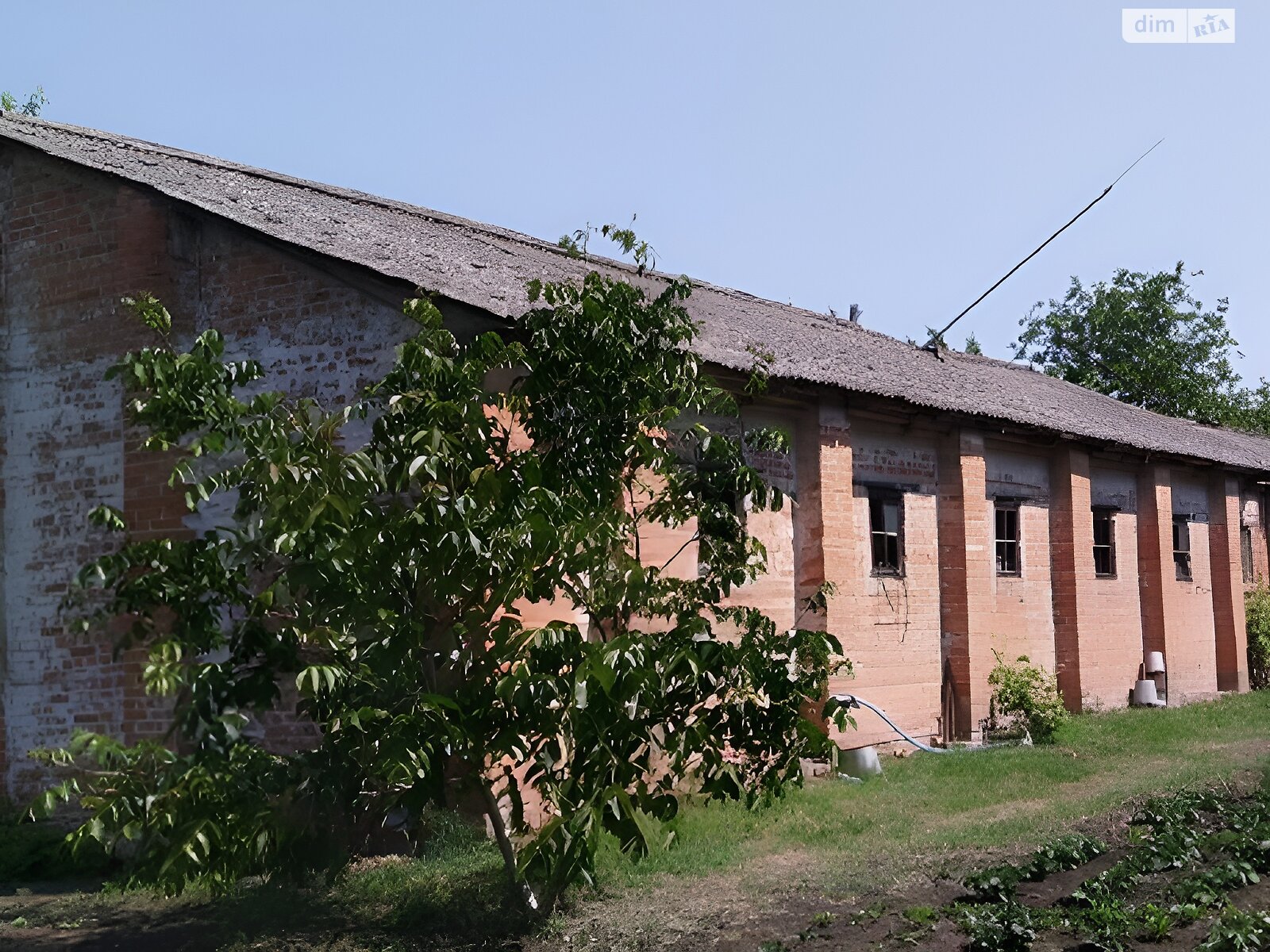 Комерційне приміщення в Ков’ягах, Привокзальна вулиця 10, ціна продажу: 9 524 доларів за об’єкт фото 1 Комерційне приміщення в Ков’ягах, Привокзальна вулиця 10, ціна продажу: 9 524 доларів за об’єкт фото 1