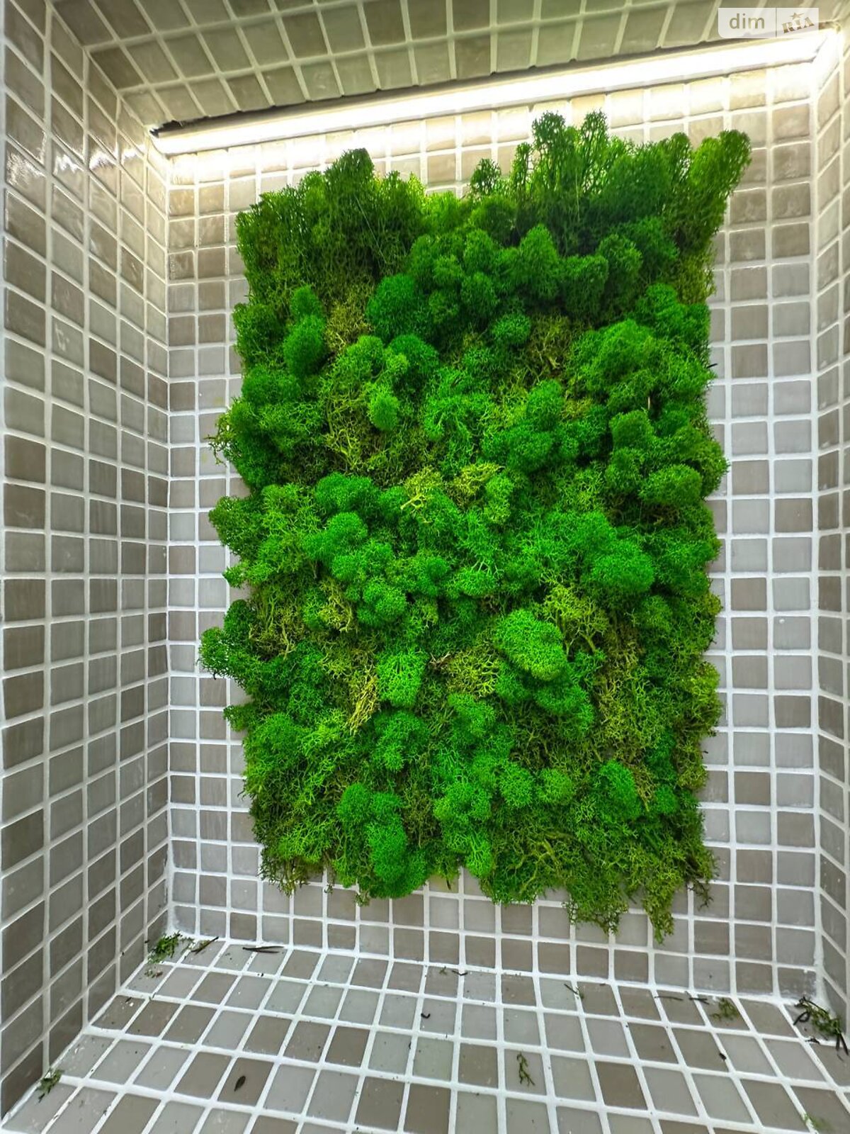 Комерційне приміщення в Лиманці, масив 10, ціна продажу: 1 600 000 доларів за об’єкт фото 1 Комерційне приміщення в Лиманці, масив 10, ціна продажу: 1 600 000 доларів за об’єкт фото 1