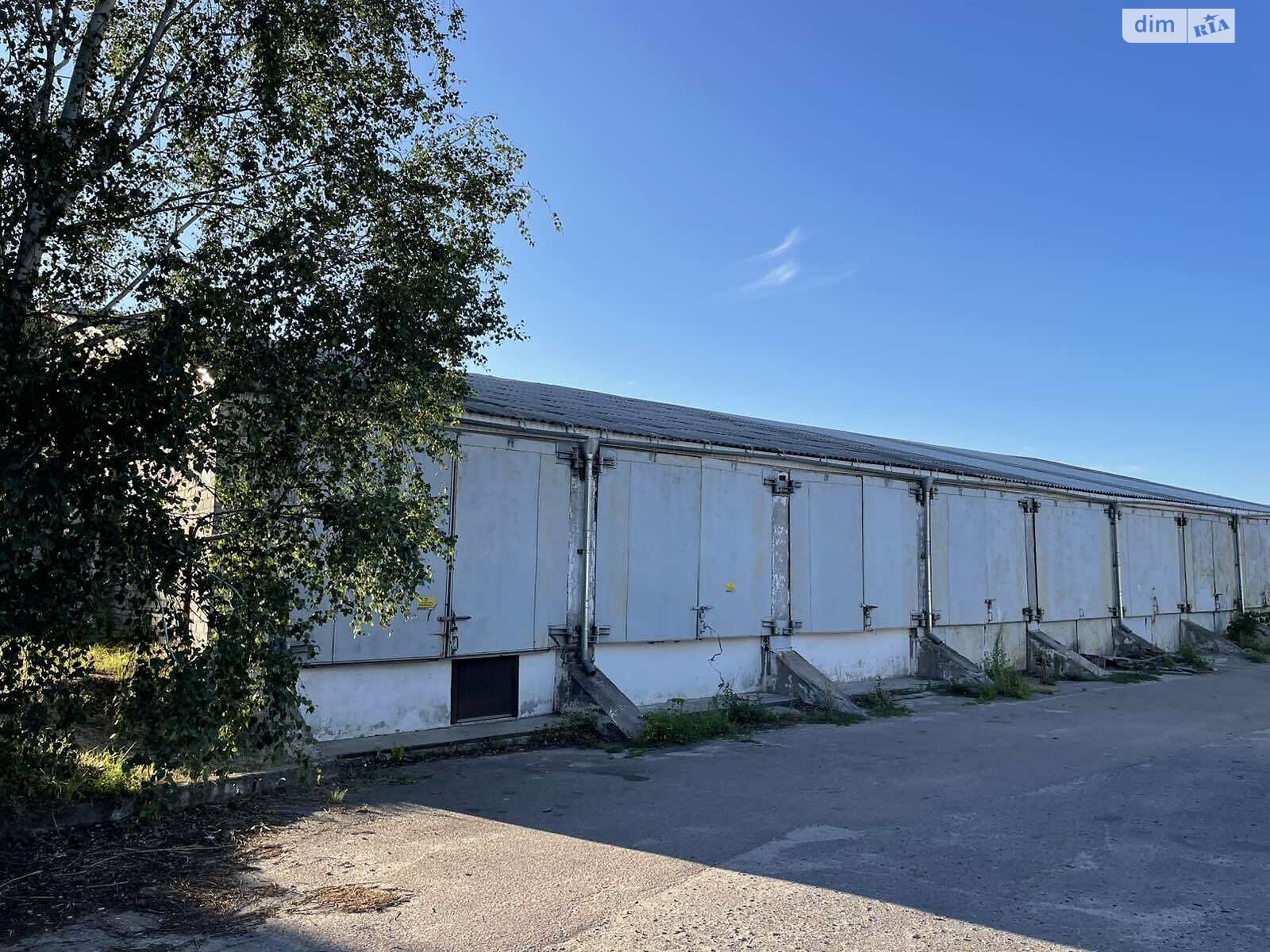 Коммерческое помещение в Лубнах, продажа по Лубенского Петра улица, район Лубны, цена: 155 000 долларов за объект фото 1 Коммерческое помещение в Лубнах, продажа по Лубенского Петра улица, район Лубны, цена: 155 000 долларов за объект фото 1