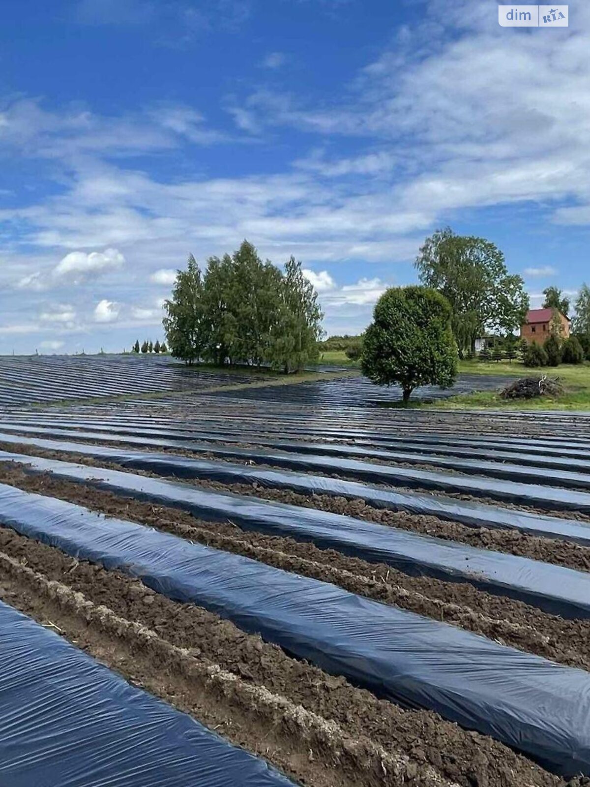 Коммерческое помещение в Львове, продажа по Автостроителей проезд, район Белогорща, цена: 200 000 долларов за объект фото 1 Коммерческое помещение в Львове, продажа по Автостроителей проезд, район Белогорща, цена: 200 000 долларов за объект фото 1