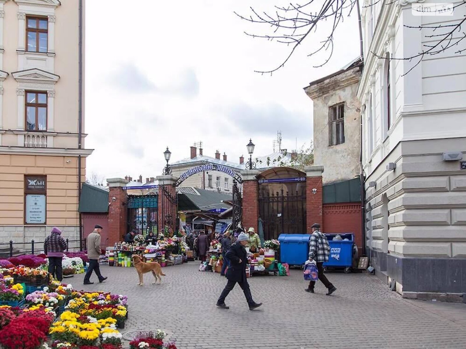 Коммерческое помещение в Львове, продажа по Соборная площадь, район Галицкий, цена: 4 500 долларов за объект фото 1