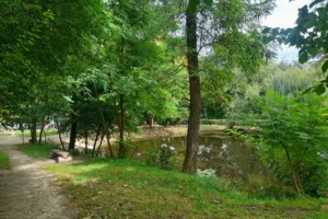 Комерційне приміщення в Львові, продаж по Тернопільська вулиця 1, район Новий Львів, ціна: 11 000 доларів за об’єкт фото 2 Комерційне приміщення в Львові, продаж по Тернопільська вулиця 1, район Новий Львів, ціна: 11 000 доларів за об’єкт фото 2