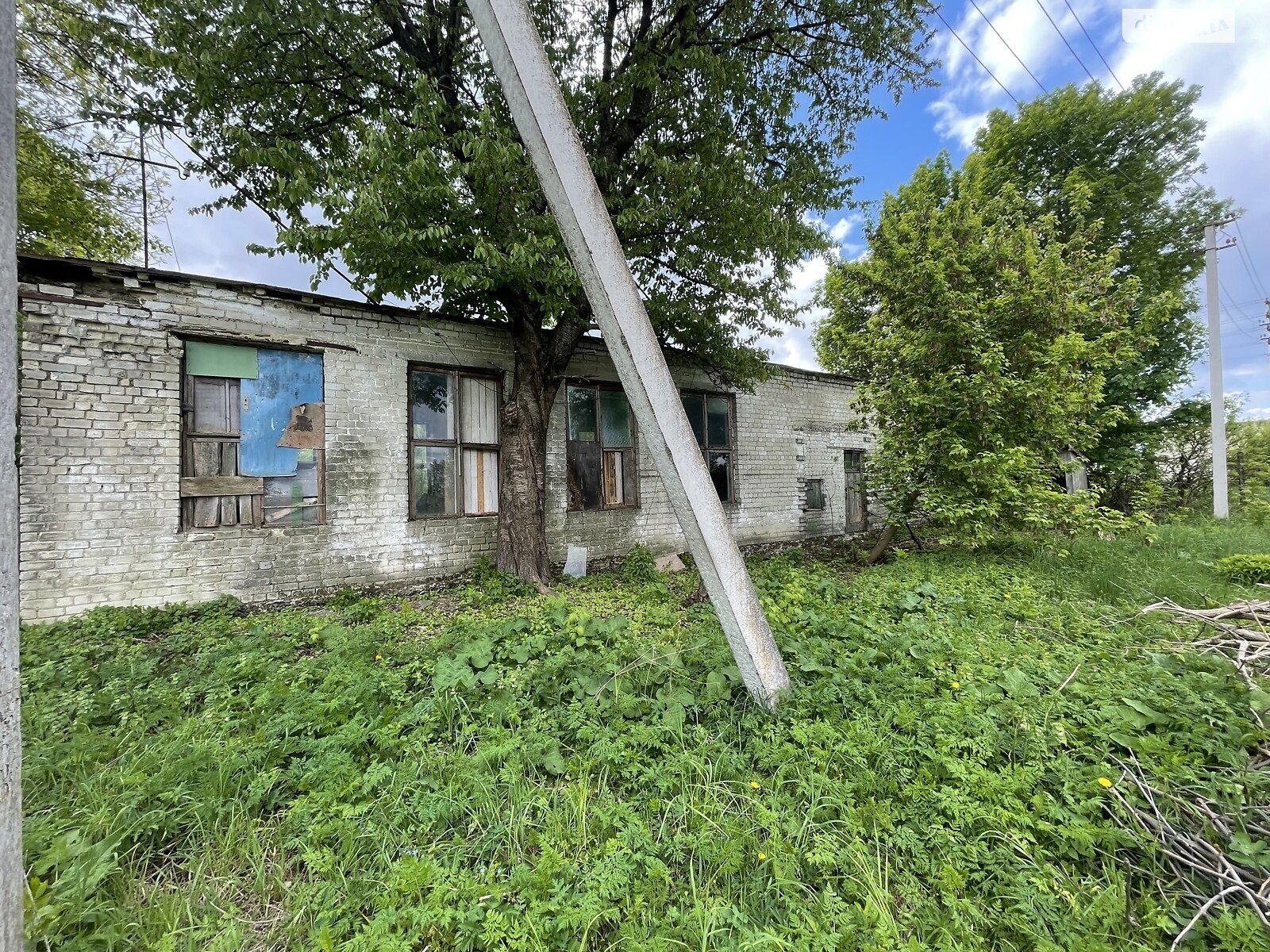 Коммерческое помещение в Малом Шпакове, Шевченко улица, цена: продажи 17 000 долларов за объект фото 1 Коммерческое помещение в Малом Шпакове, Шевченко улица, цена продажи: 17 000 долларов за объект фото 1