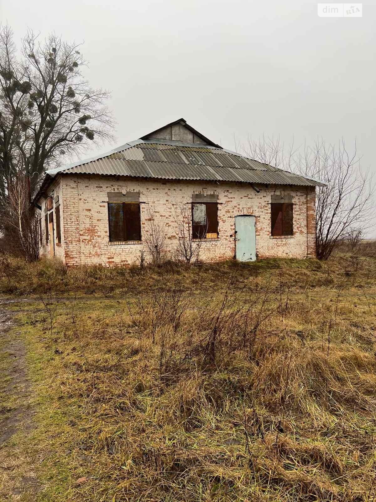 Коммерческое помещение в Мизяковских Хуторах, Центральная улица 33, цена: продажи 51 000 долларов за объект фото 1 Коммерческое помещение в Мизяковских Хуторах, Центральная улица 33, цена продажи: 51 000 долларов за объект фото 1
