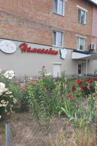 Комерційне приміщення в Немирові, Леонтовича вулиця, ціна продажу: 60 000 доларів за об’єкт фото 2