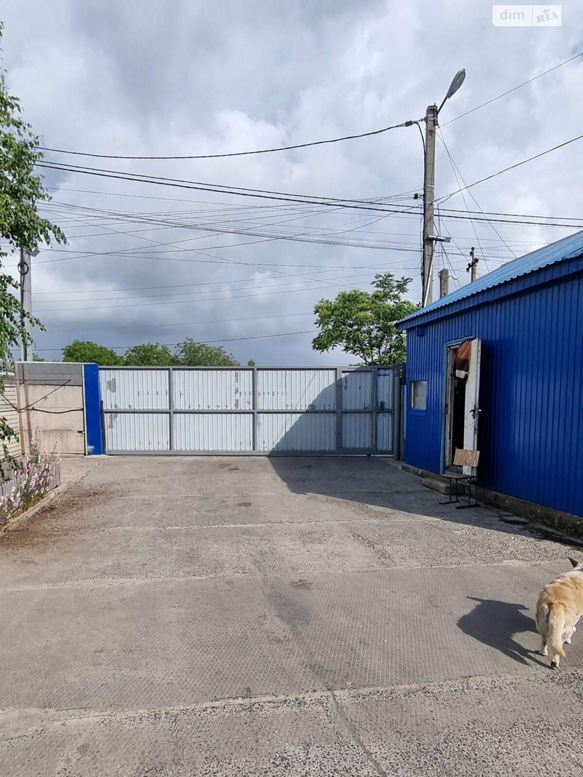 Коммерческое помещение в Нерубайском, Пастера улица, цена: продажи 339 162 долларов за объект фото 1 Коммерческое помещение в Нерубайском, Пастера улица, цена продажи: 339 162 долларов за объект фото 1