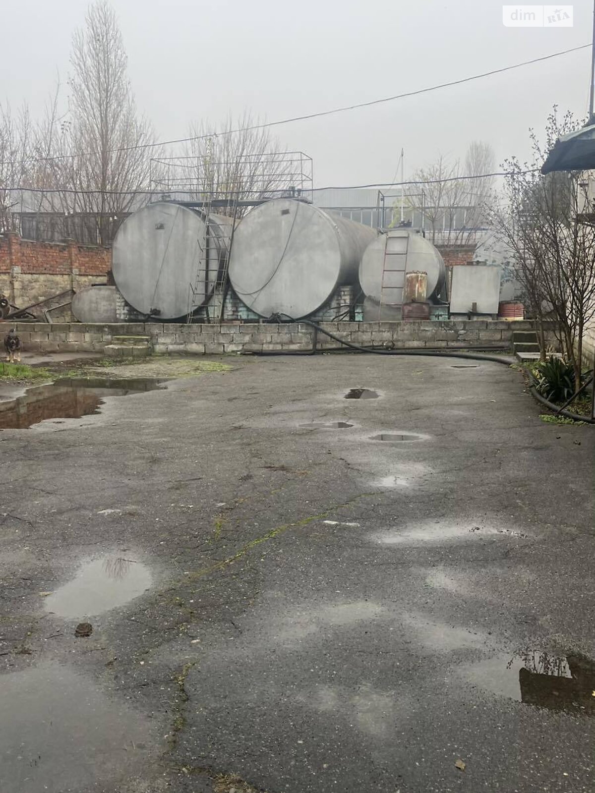 Коммерческое помещение в Николаеве, продажа по Парусная улица 16, район Корабельный, цена: 360 000 долларов за объект фото 1