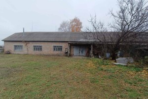 Коммерческое помещение в Новой Дмитровке, Шевченко улица, цена продажи: 80 000 долларов за объект фото 2