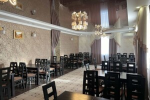 Комерційне приміщення в Нових Озерянах, Миру провулок, ціна продажу: 59 900 доларів за об’єкт фото 2