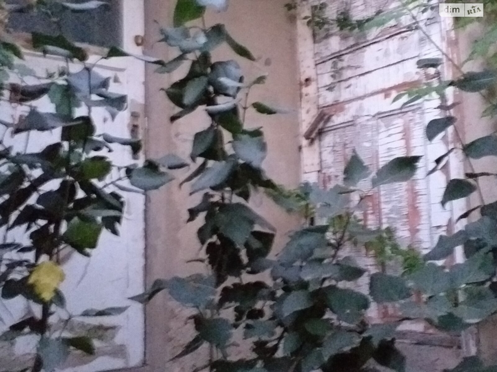 Коммерческое помещение в Одессе, продажа по вул Праведників Світу 11, район Слободка, цена: 36 000 долларов за объект фото 1 Коммерческое помещение в Одессе, продажа по вул Праведників Світу 11, район Слободка, цена: 36 000 долларов за объект фото 1