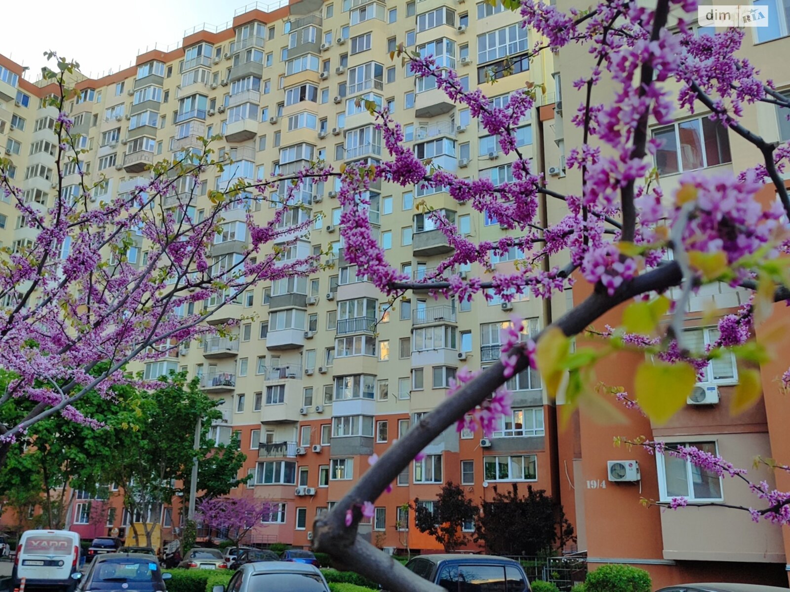 Коммерческое помещение в Одессе, продажа по Радужный массив, район Таирова, цена: 33 000 долларов за объект фото 1 Коммерческое помещение в Одессе, продажа по Радужный массив, район Таирова, цена: 33 000 долларов за объект фото 1