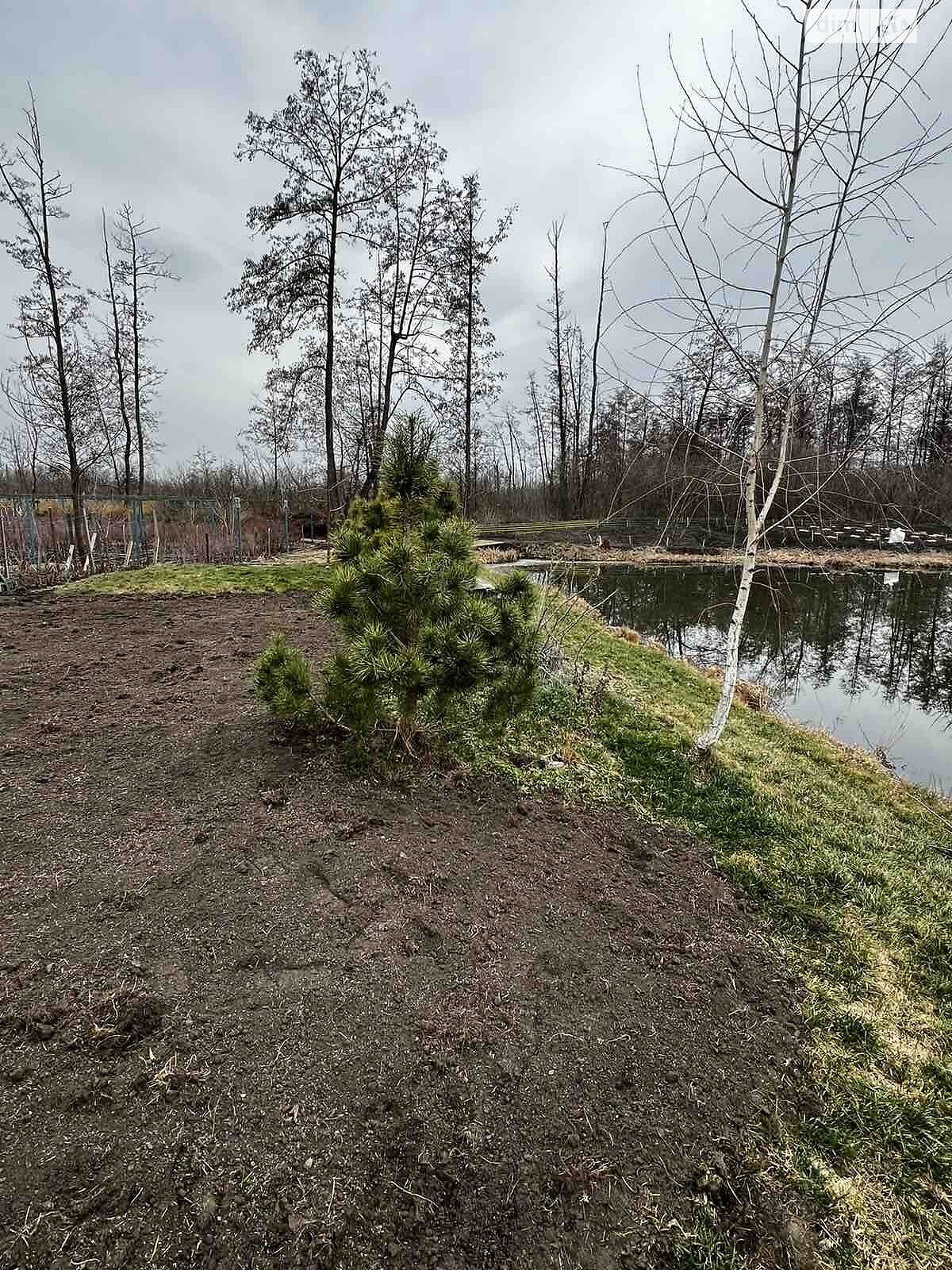 Коммерческое помещение в Писаревке, Набережна 16, цена продажи: 500 000 долларов за объект фото 1